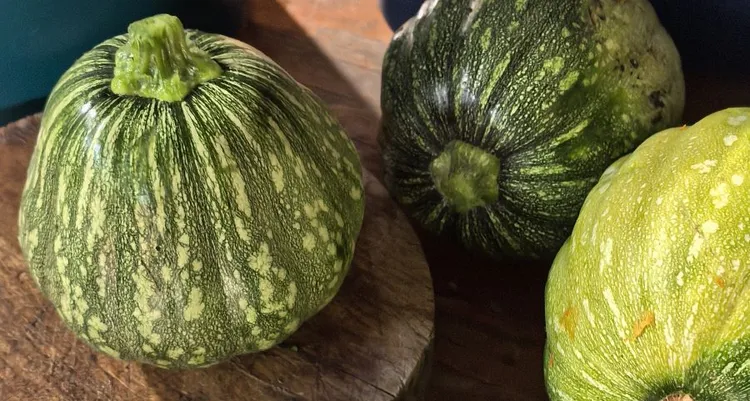 Calabaza tierna