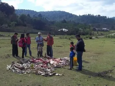 Narración de cuento oral, Rosario Bawitz.